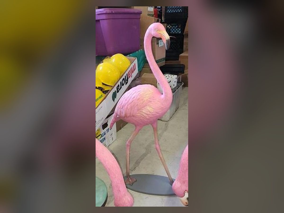 Pink flamingo statue with head up