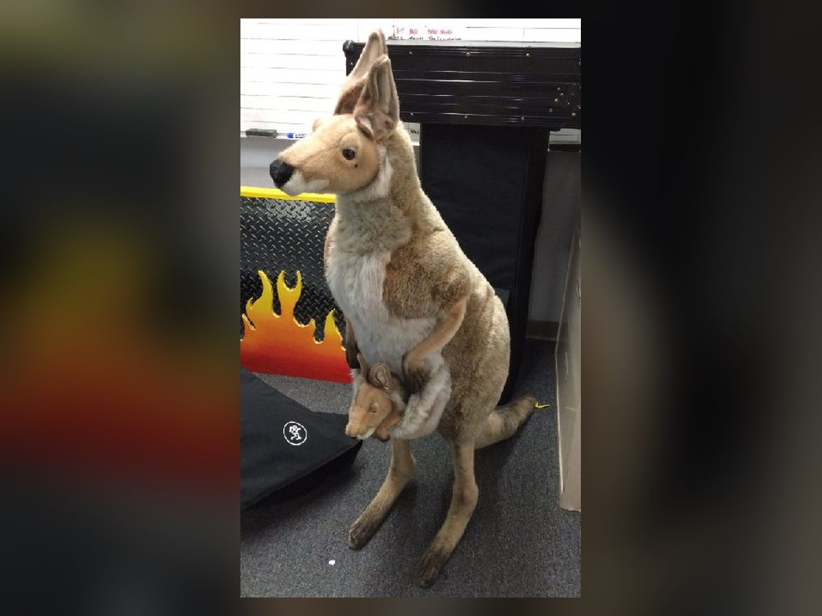 Kangaroo with joey statue
