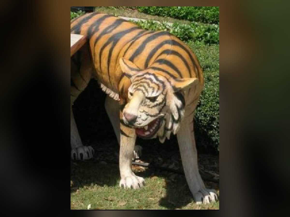 Life-size tiger statue