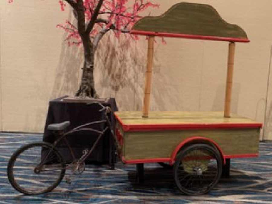 Asian-style tri-bike action station with canopy