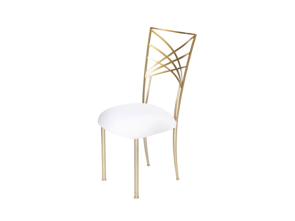 Chameleon Chairs — dining chair rental